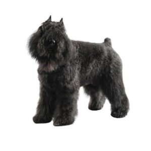 Miniatura Bouvier des Flandres